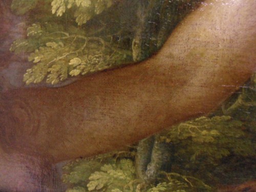 here is a close up of eves arm you can see the thin layer of pail paint has been pulled over the highlights of the shaded arm, making the warm under paint become much cooler in tone.