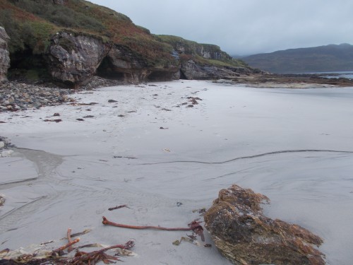 The Singing Sands (and tracks made while scuffing my feet to hear the sand squeak/sing)